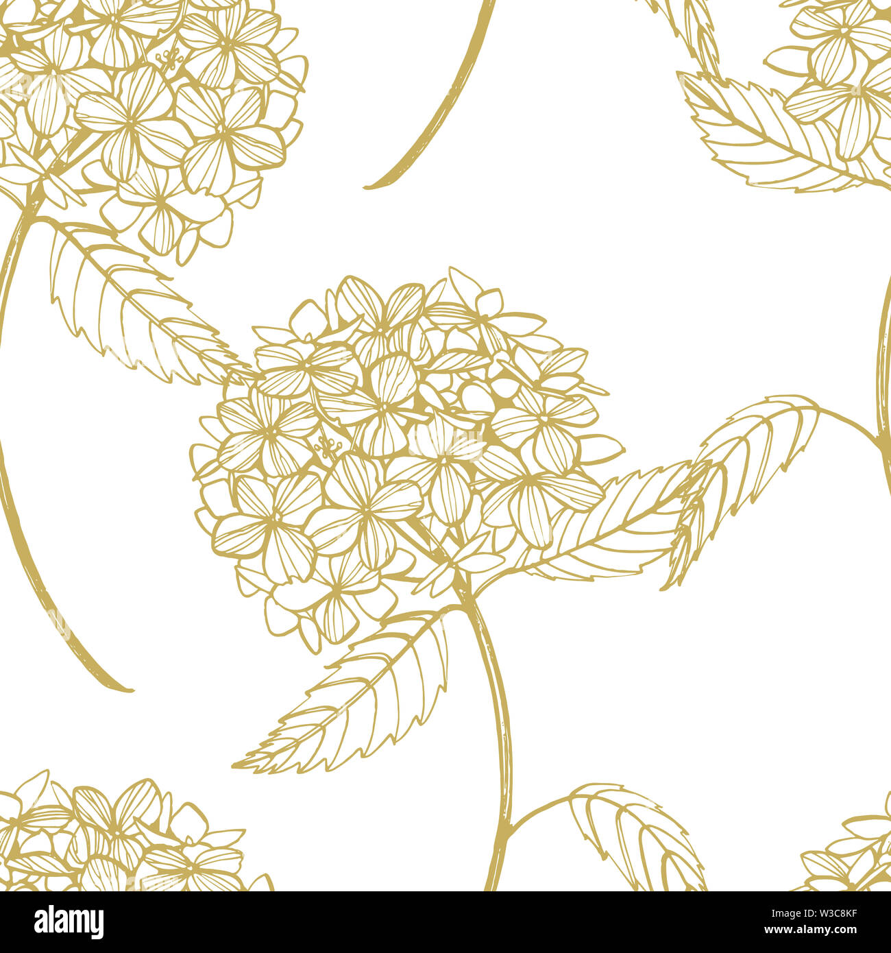 Hydrangea graphic illustration in vintage style. Flowers drawing and ...