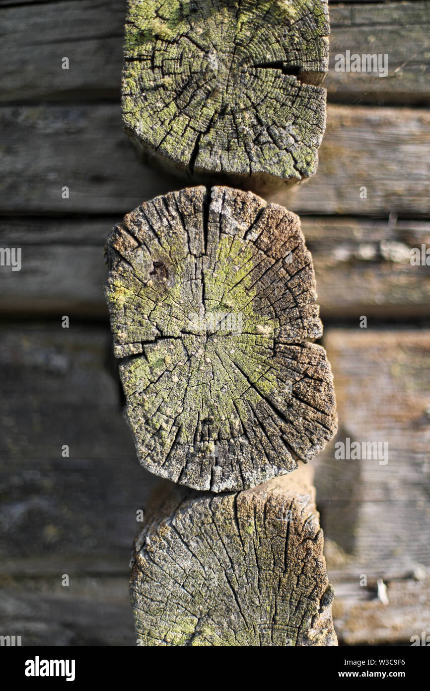 Squared logs with interlocking double-notch joints, the timber extending beyond the corners of an old weathered sauna building in Ylöjärvi, Finland Stock Photo