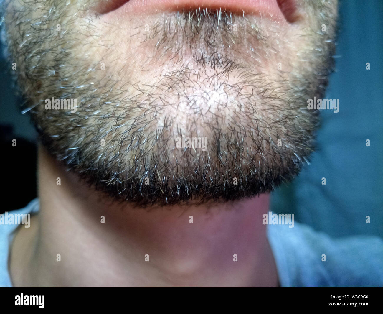 Bearded young man, stubble near. Unshaven more than a week. Hair on the  face of a man, a short beard Stock Photo - Alamy