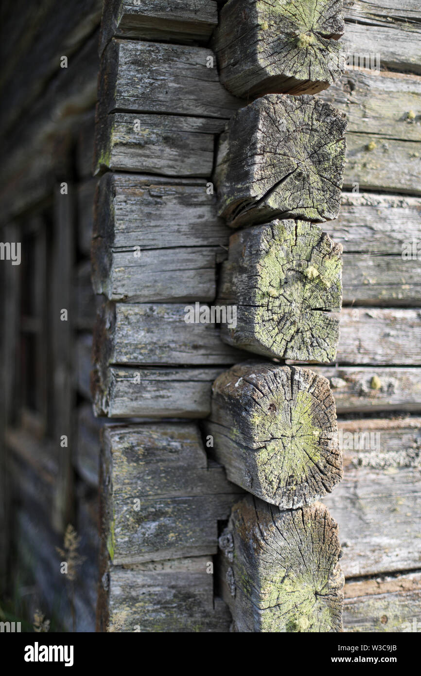 Squared logs with interlocking double-notch joints, the timber extending beyond the corners of an old weathered sauna building in Ylöjärvi, Finland Stock Photo