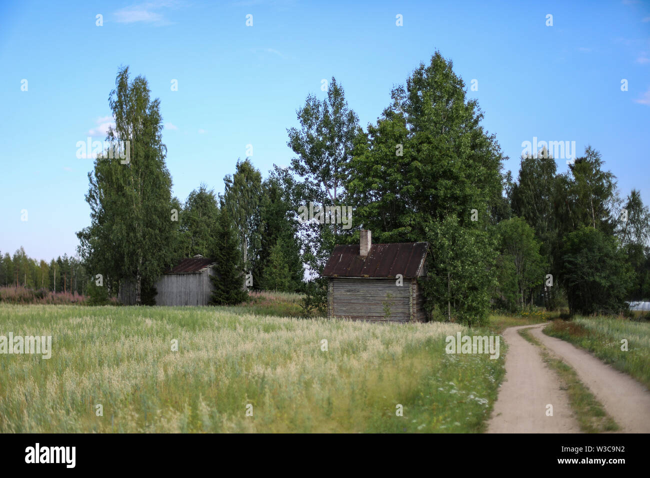 Old abandoned farmstead by the dirt road in Ylöjärvi, Finland Stock Photo