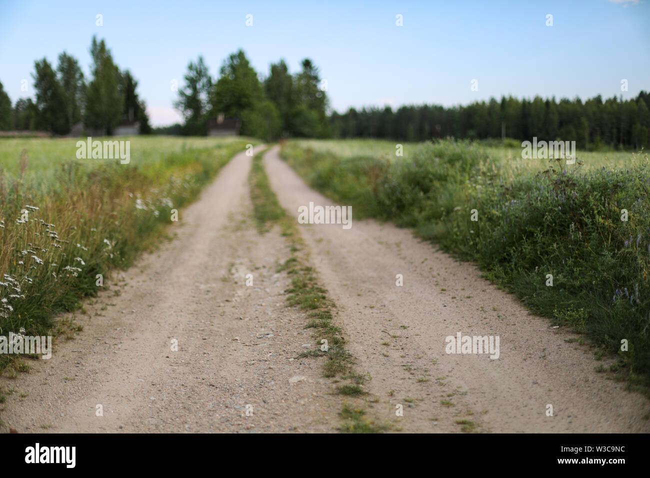 Rural dirt road in Ylöjärvi, Finland Stock Photo