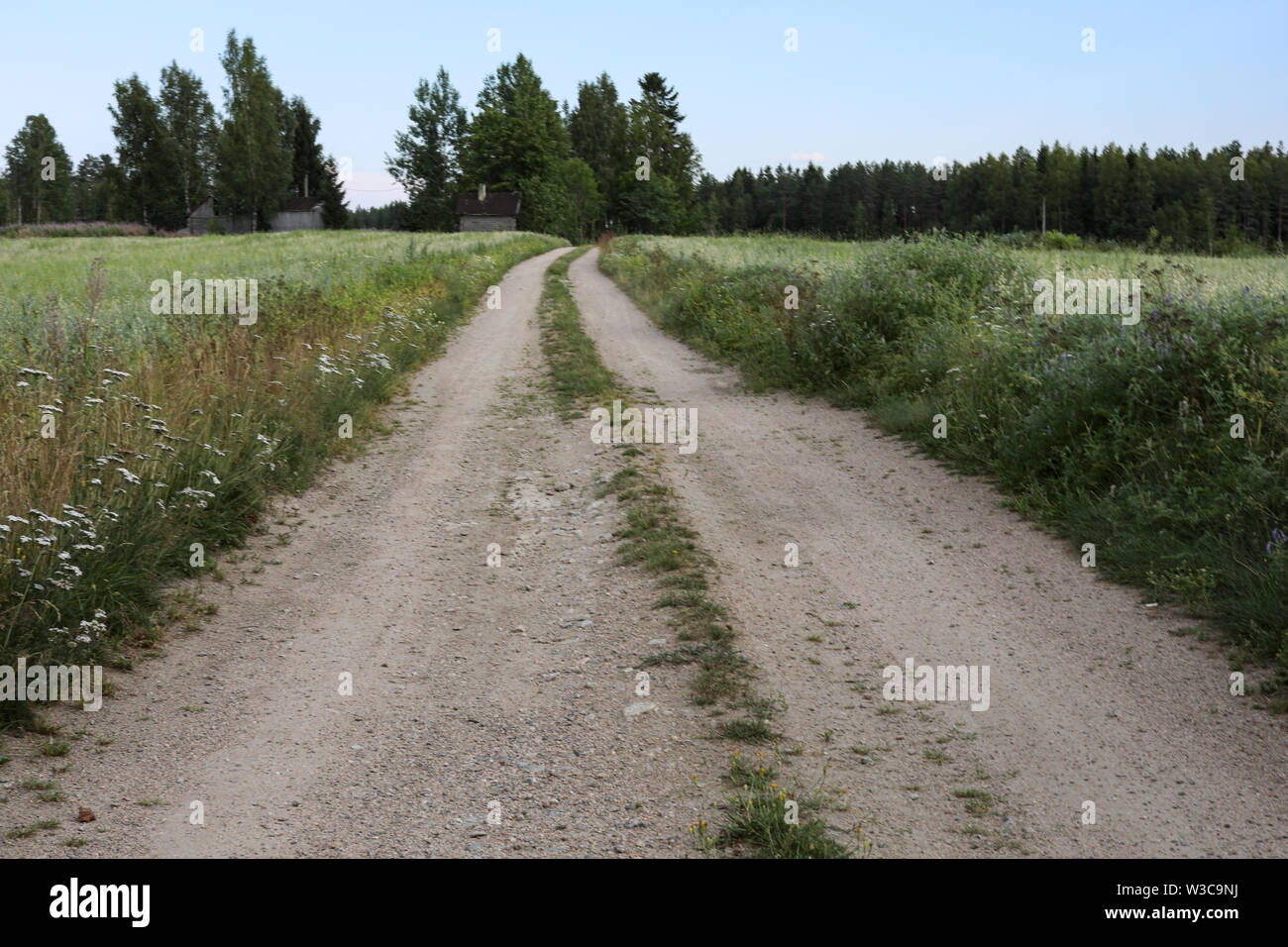 Rural dirt road in Ylöjärvi, Finland Stock Photo