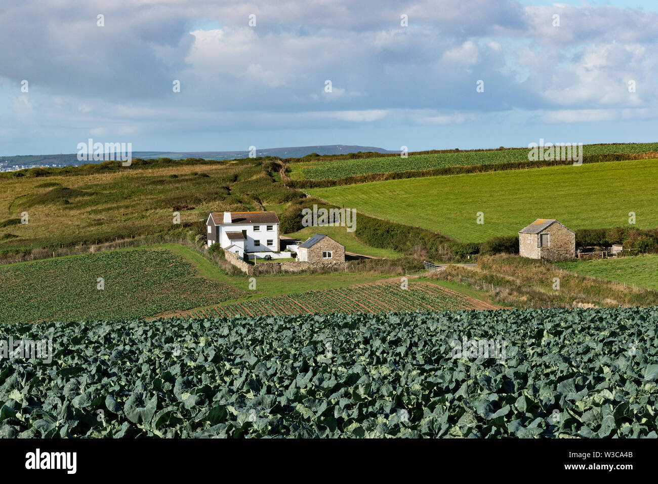 mixed farmland near hayle in cornwall, england, britain, uk. Stock Photo
