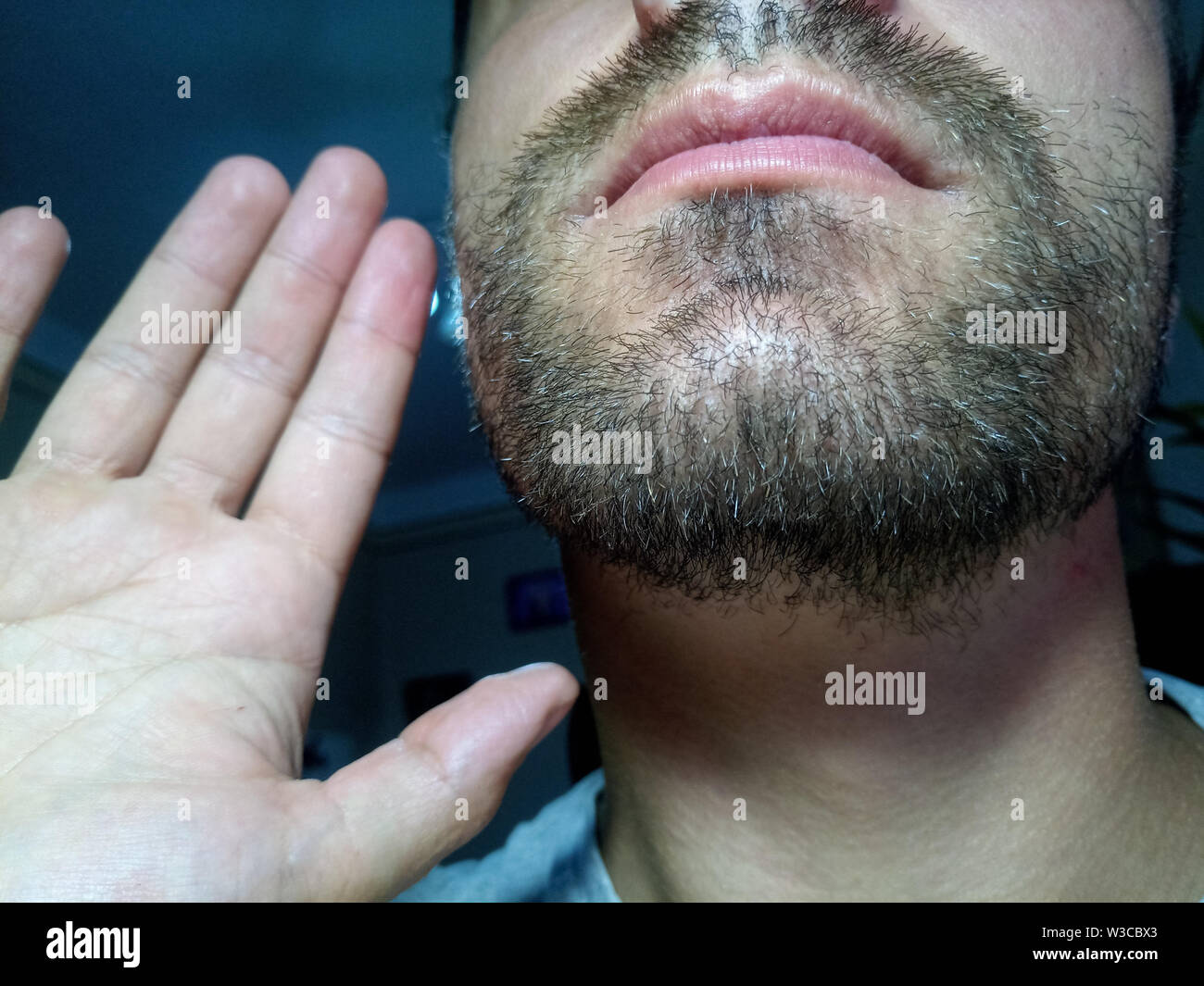 Bearded young man, stubble near. Unshaven more than a week. Hair on the face of a man, a short beard Stock Photo - Alamy Bearded young man, stubble near. Unshaven more than a week. Hair on the face of a man, a short beard Stock Photo - Alamy