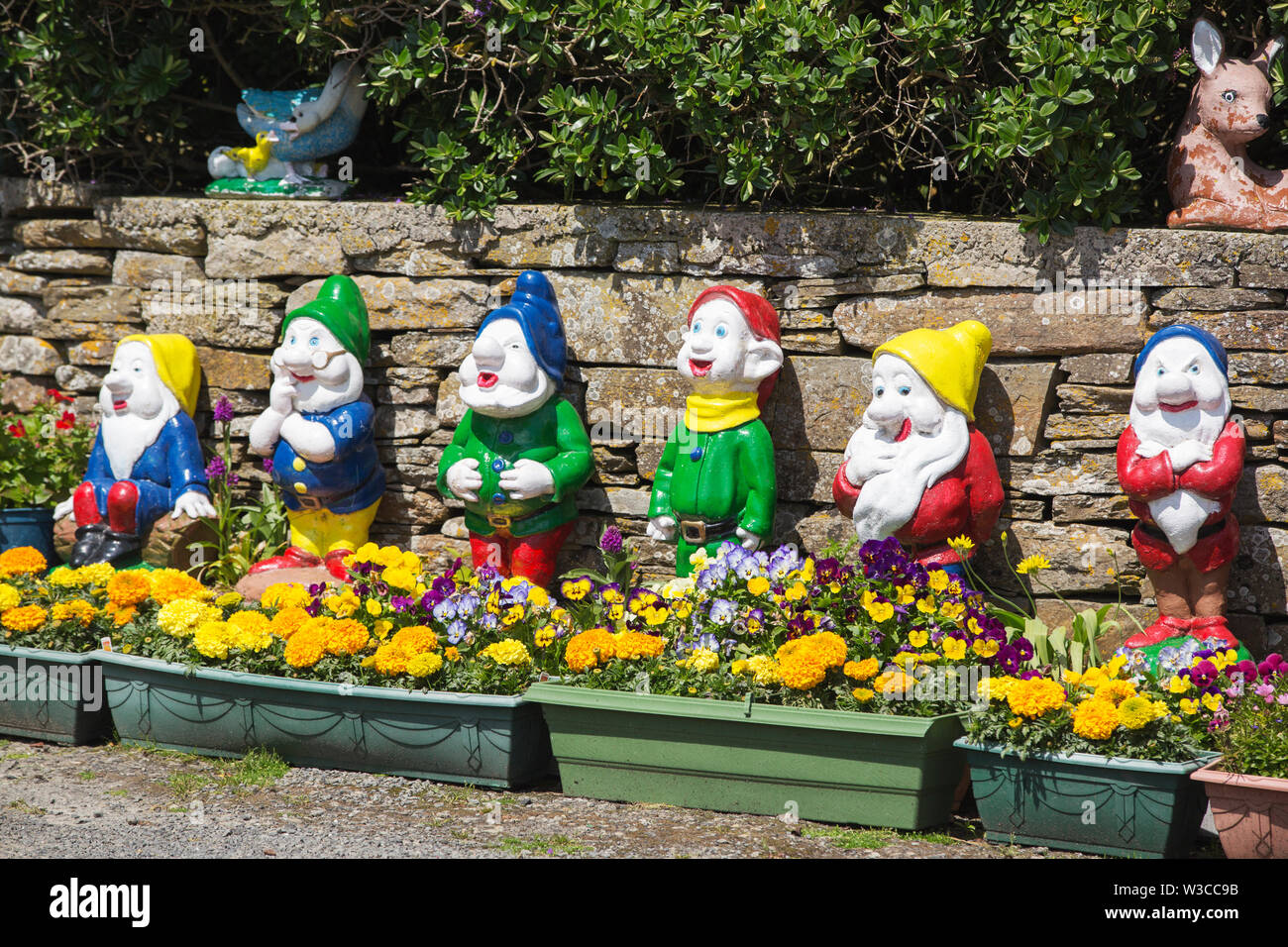 Garden Gnomes outside a house on South Ronaldsay, Orkneys, Scotland, UK