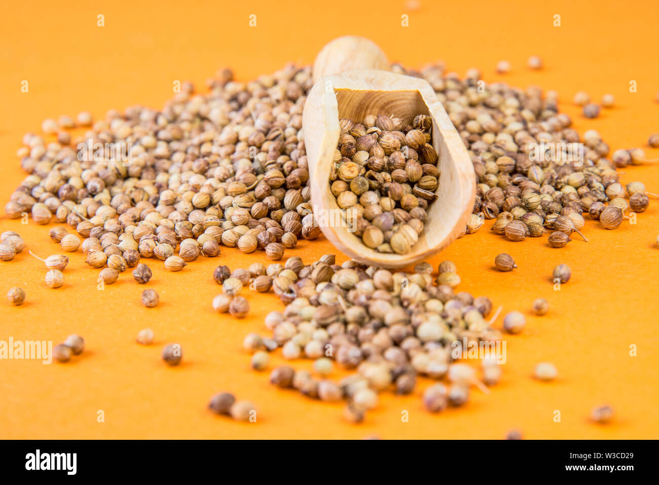 coriander on an orange background Stock Photo Alamy