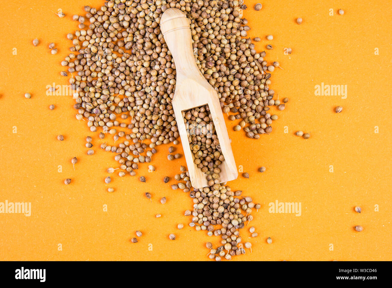coriander on an orange background Stock Photo Alamy