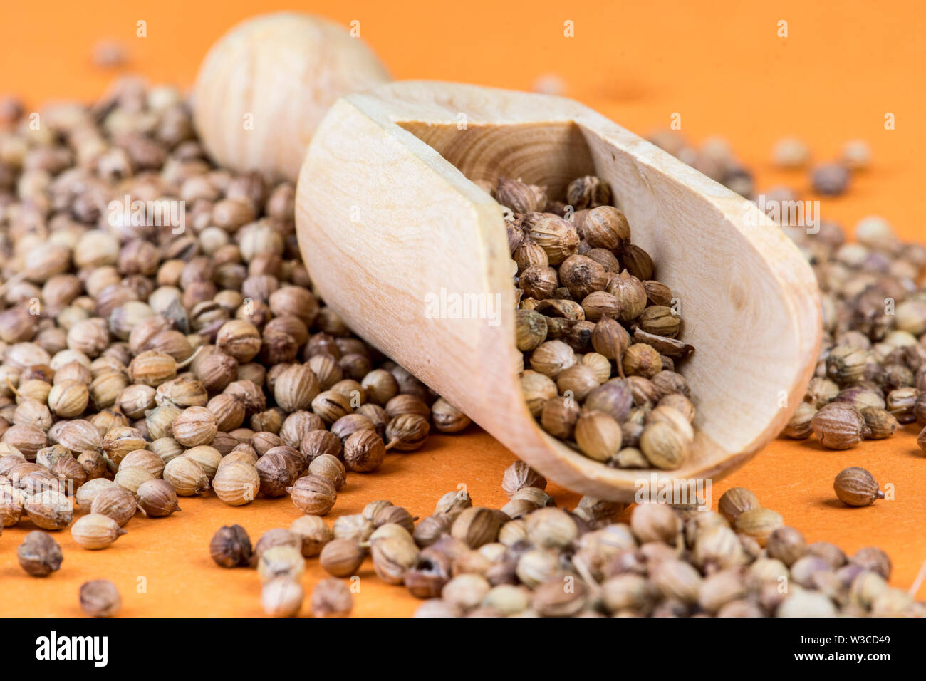 coriander on an orange background Stock Photo Alamy