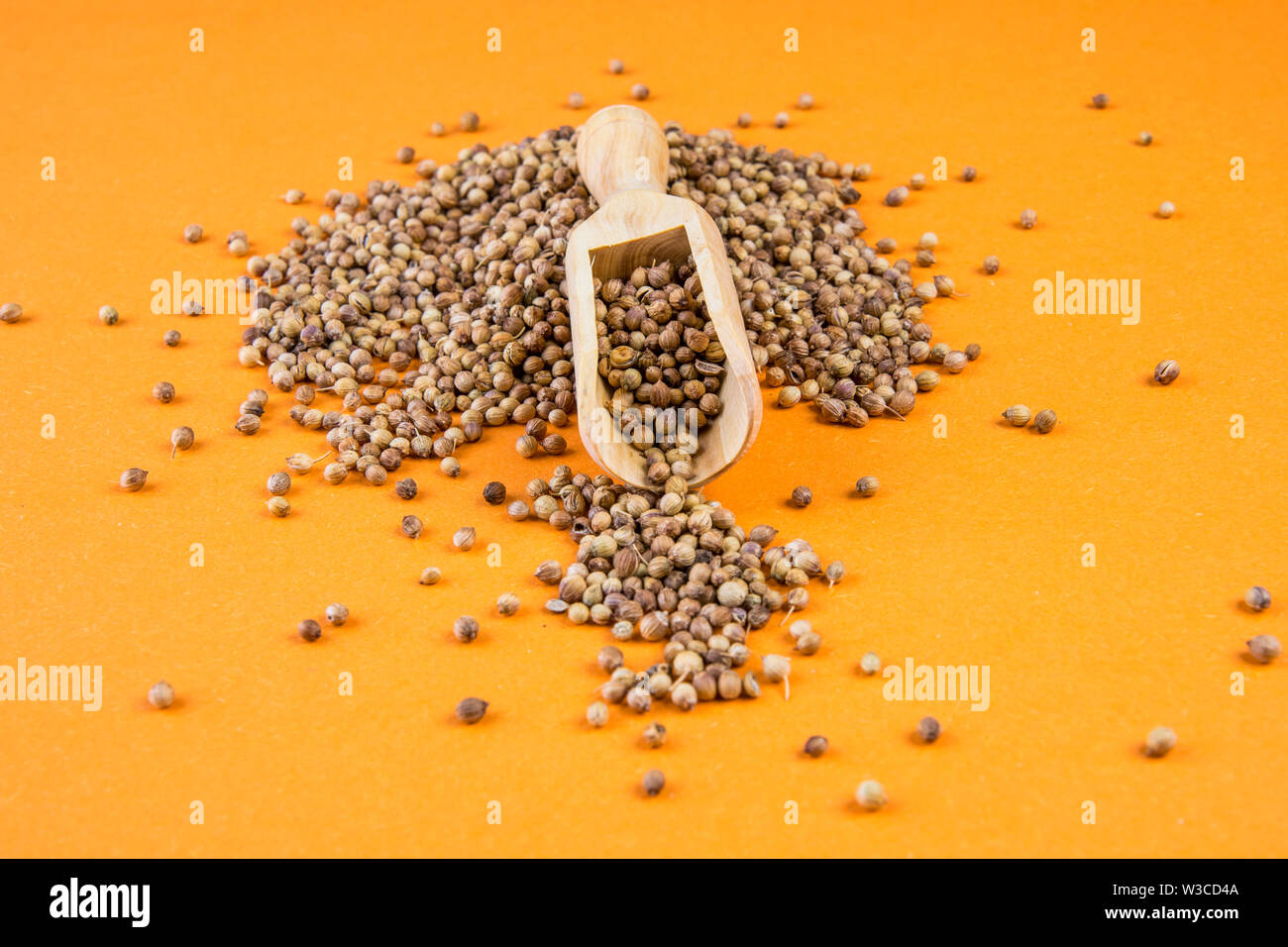 coriander on an orange background Stock Photo Alamy