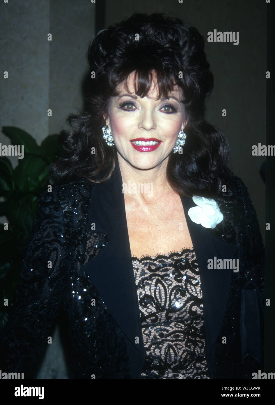 Joan Collins 1993 Photo By John Barrett/CelebrityArchaeology.com Stock ...