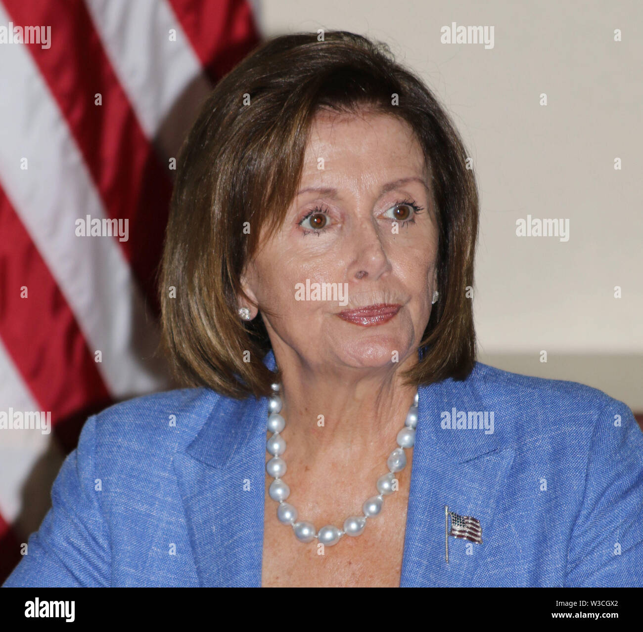Nancy Pelosi 2015 Photo By JR Davis/CelebrityArchaeology.com Stock Photo