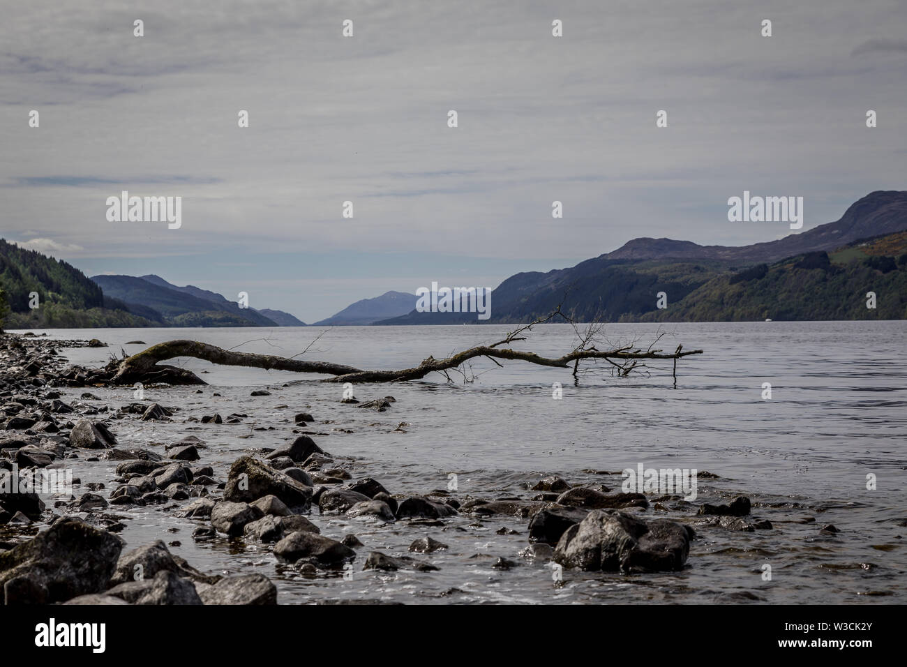 Loch Ness viewed from Whitefield, Highland, Scotland, UK Stock Photo