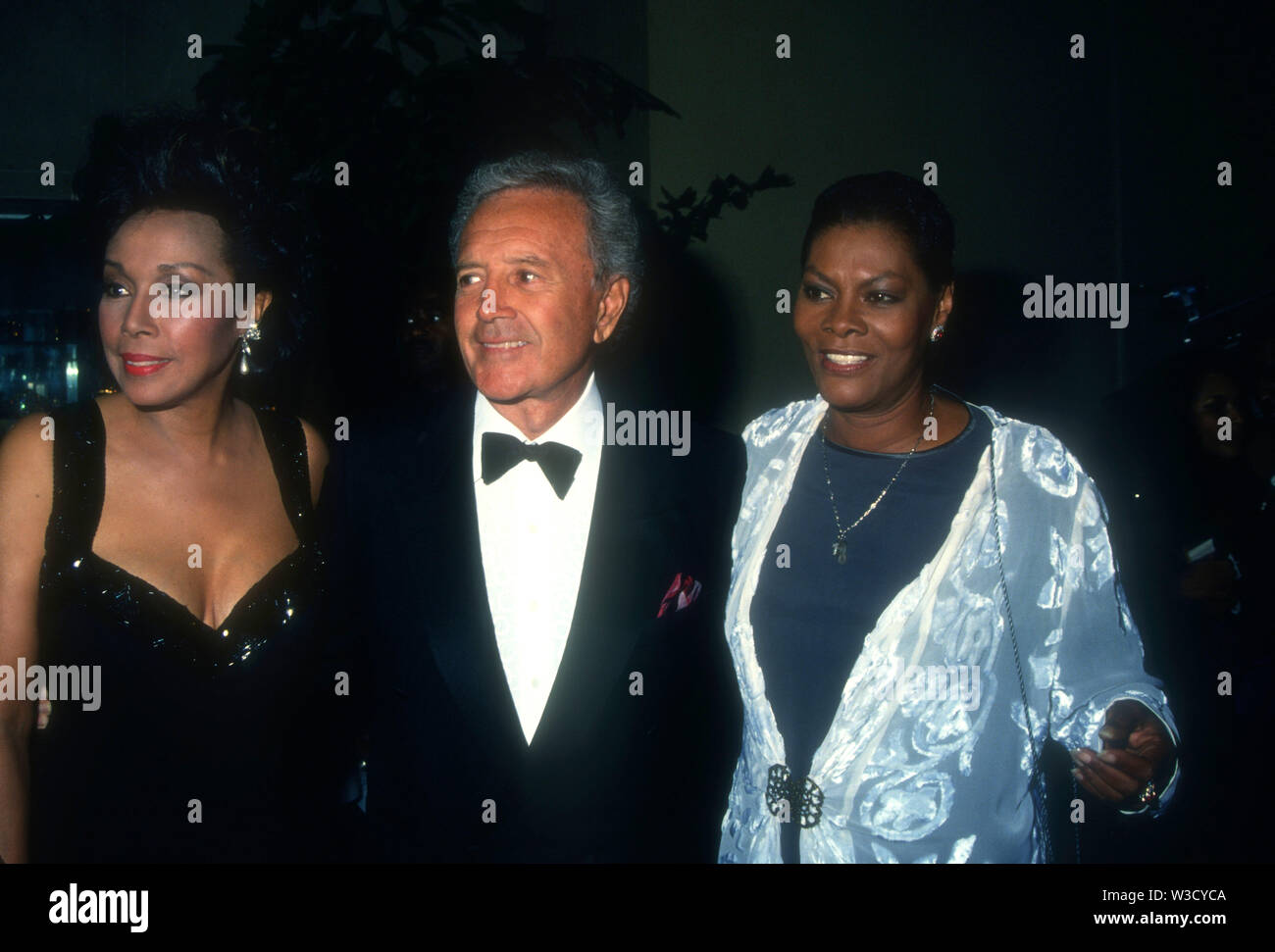 Beverly Hills, California, USA 20th September 1994 Actress Diahann Carroll, husband singer Vic Damone and singer Dionne Warwick attend the 1994 Diversity Awards on September 20, 1994 at the Beverly Hilton Hotel in Beverly Hills, California, USA. Photo by Barry King/Alamy Stock Photo Stock Photo