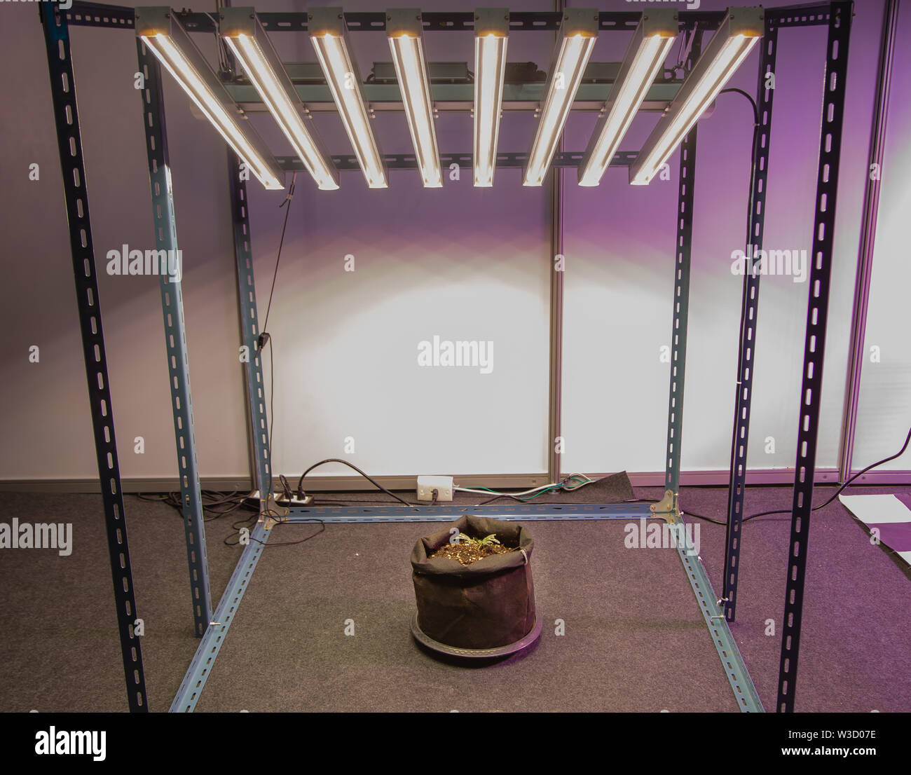 Vegetable grow with artificial LED lighting in indoor vertical