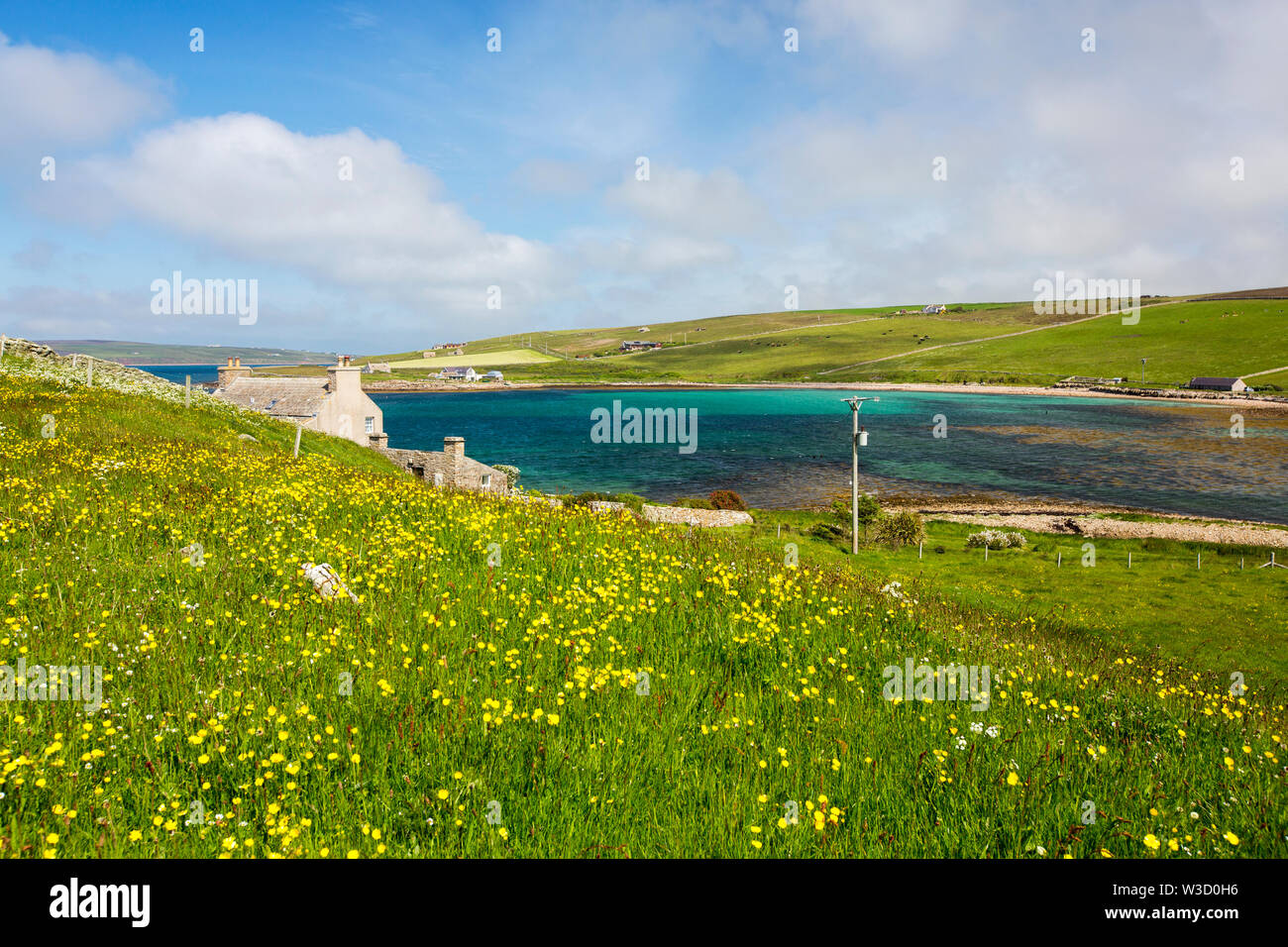 A house overlooking the Dam of Hoxa, South Ronaldsay, Orkney Islands, Scotland, UK, with a traditional hay meadow full of Buttercups. Stock Photo