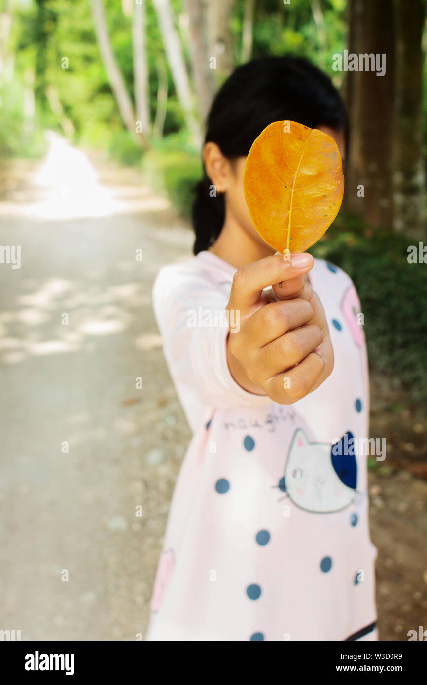 Little Girl holding Old Jack Fruit Leaf. Hold Orange Autumn Leaf. Stock Photo