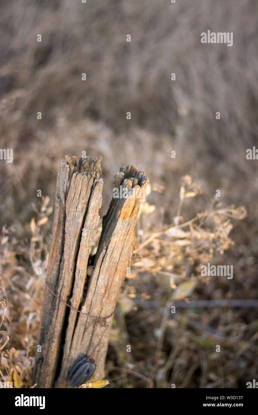 Old weathered split wood post Stock Photo - Alamy