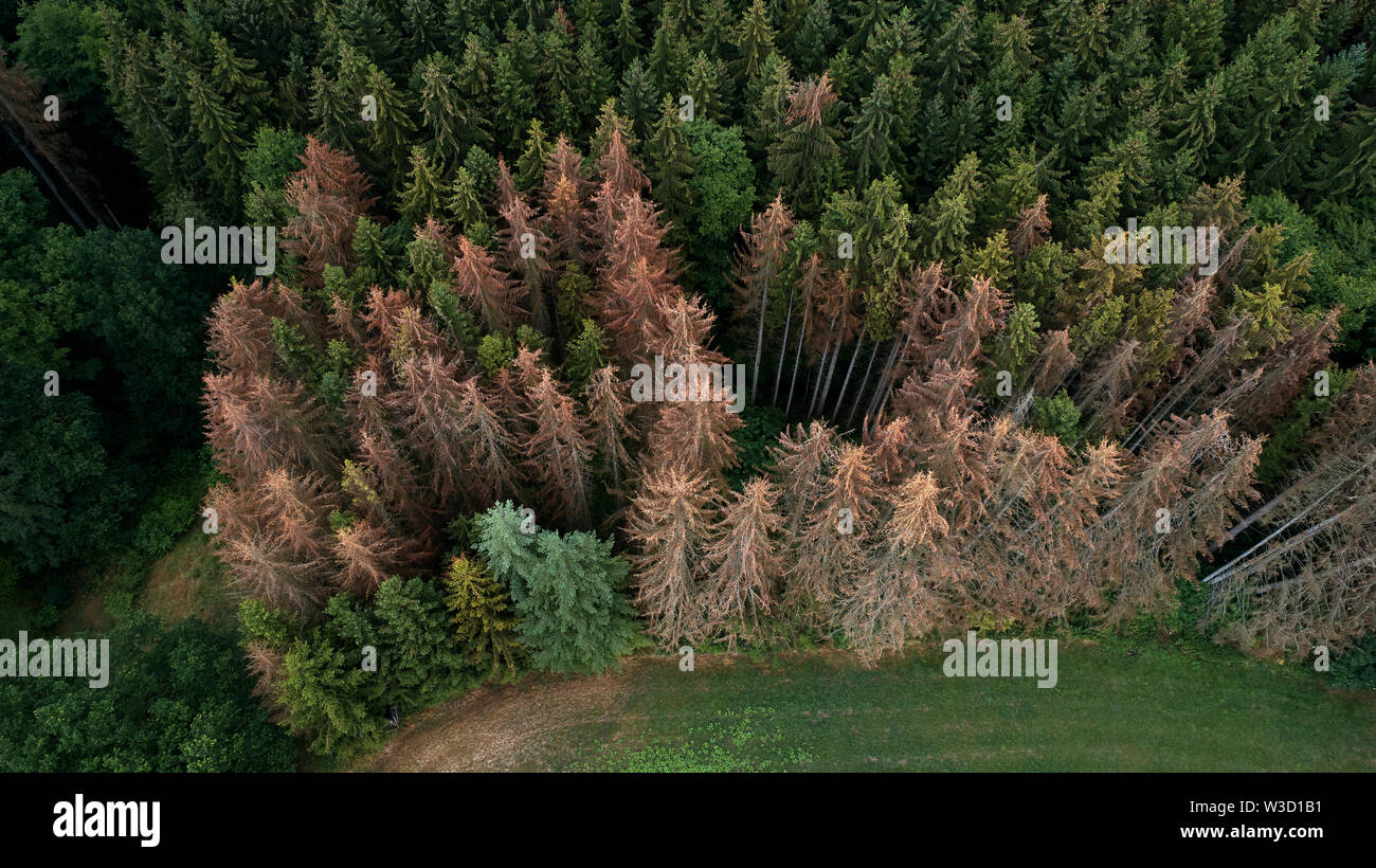 Koblenz, Germany. 11th July, 2019. The aerial photo with a drone shows ...