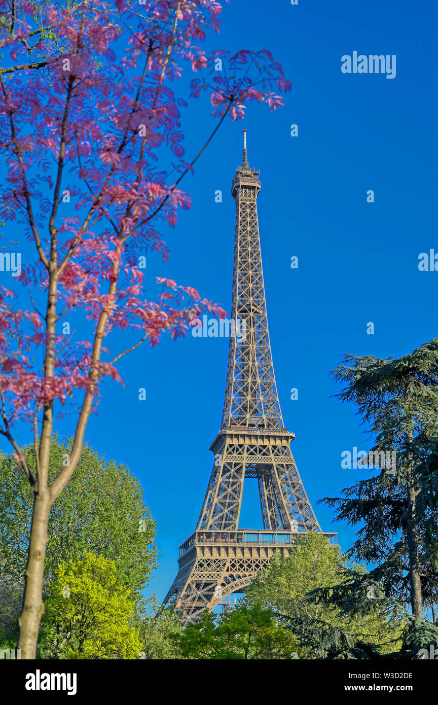 A view of the Eiffel Tower in Paris, France Stock Photo Alamy