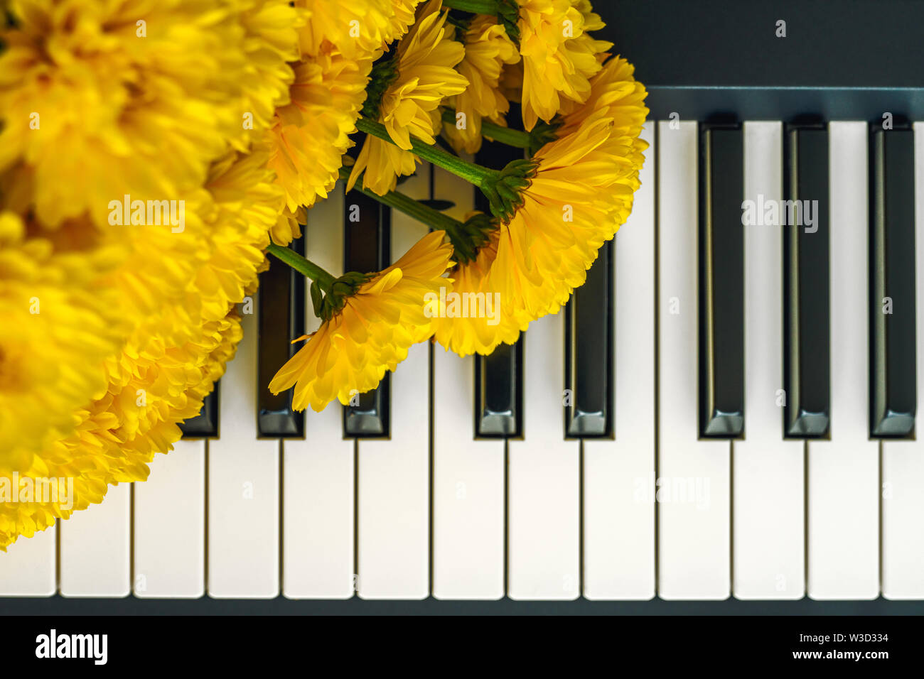 Flowers on a Piano. Bouquet of Yellow Chrysanthemum on a Piano Keyboard
