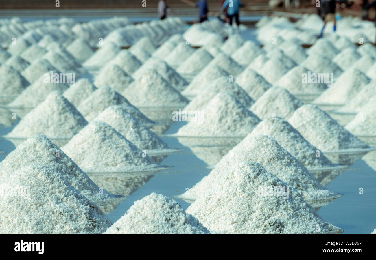 Sea salt farm in Thailand. Organic sea salt. Evaporation and ...