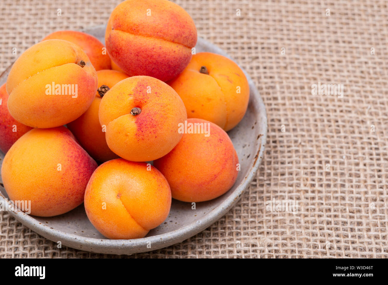 Fresh Ripe Organic Apricots on burlap background. Genus Prunus Stock
