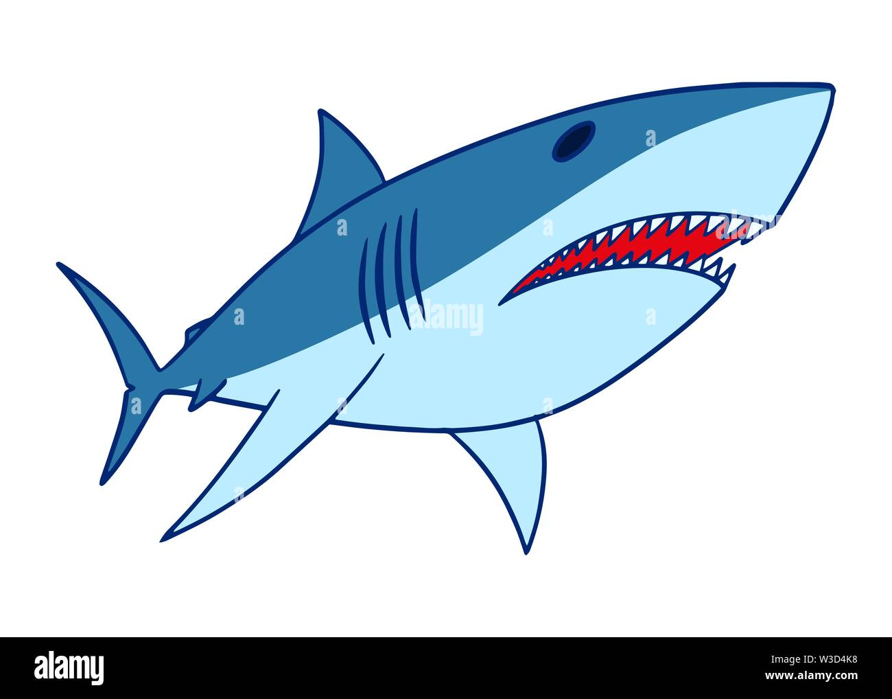 Shark vector illustration. Isolated shark swimming clip art on white ...