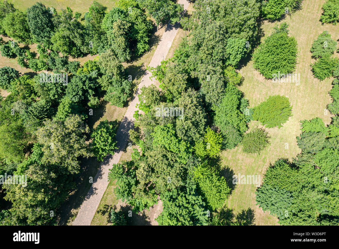 aerial top view of city park in summer. walking path among green fresh ...
