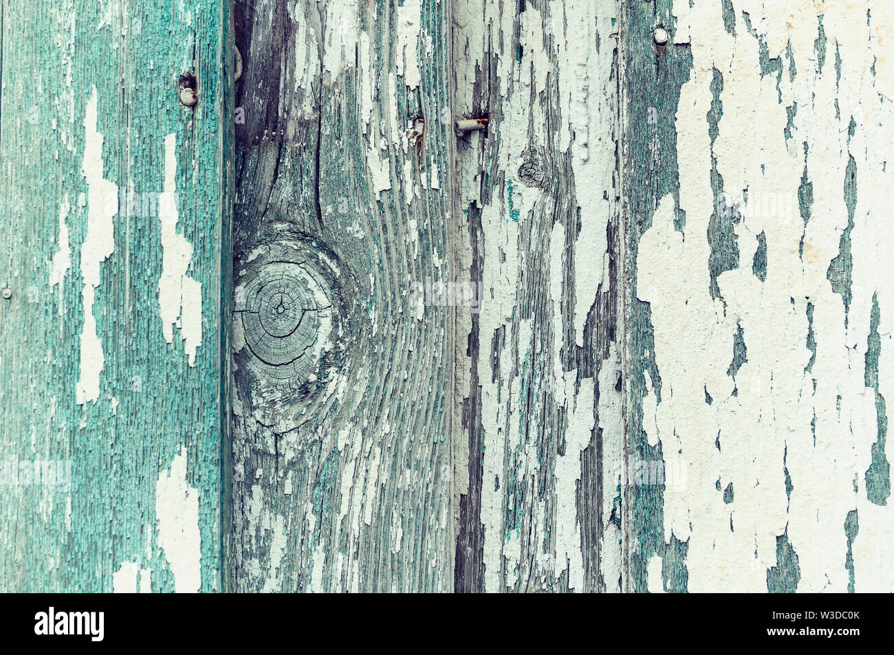 Peeling paint of turquoise green color on the wooden texture background ...