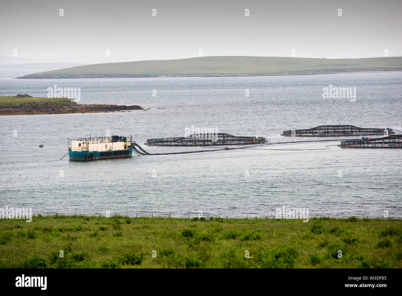 A fish farm in the Bay of Kirkwall, Orkney, Scotland, UK. Stock Photo