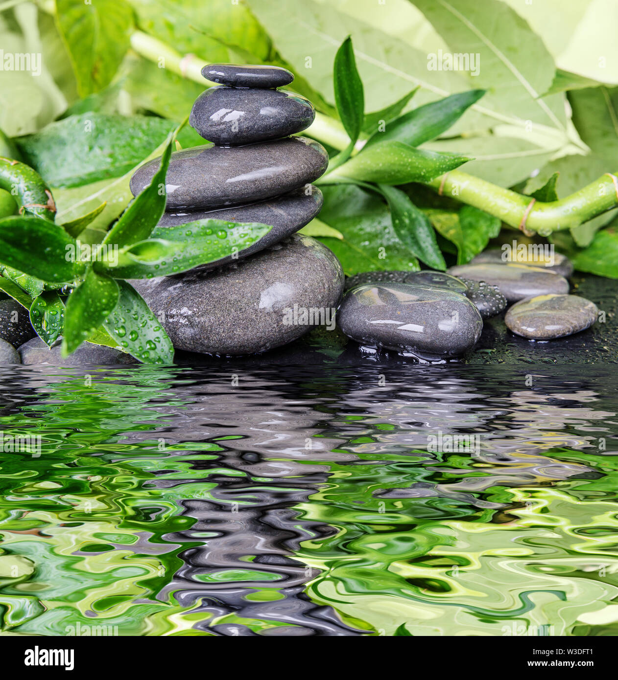 Photo & Art Print Zen stones pyramid on water surface, green leaves over it