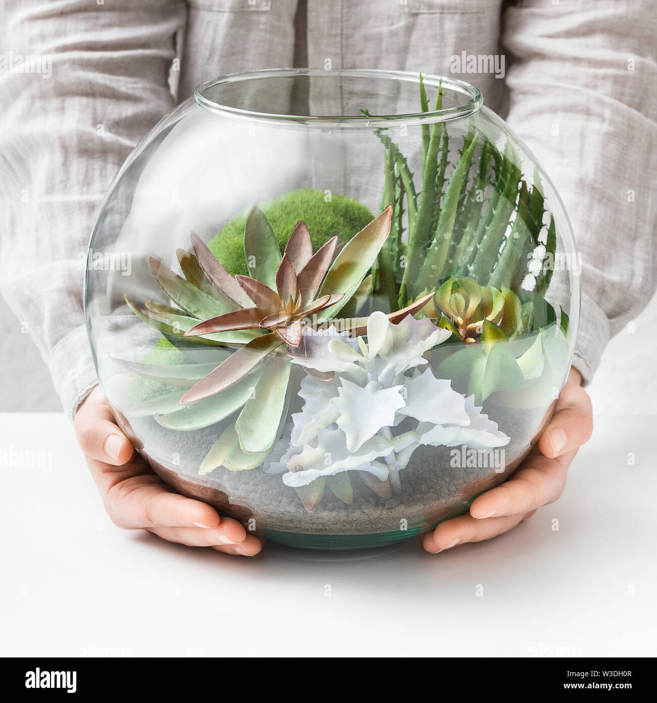 Woman S Hands Holding Mini Succulent Garden In Glass Florarium