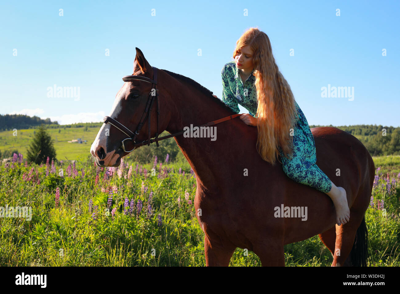 Portrait of young pretty cheerful woman with horse at summer green park Stock Photo