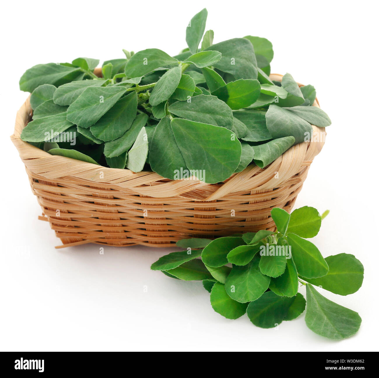 Green leaves of fenugreek over white background Stock Photo