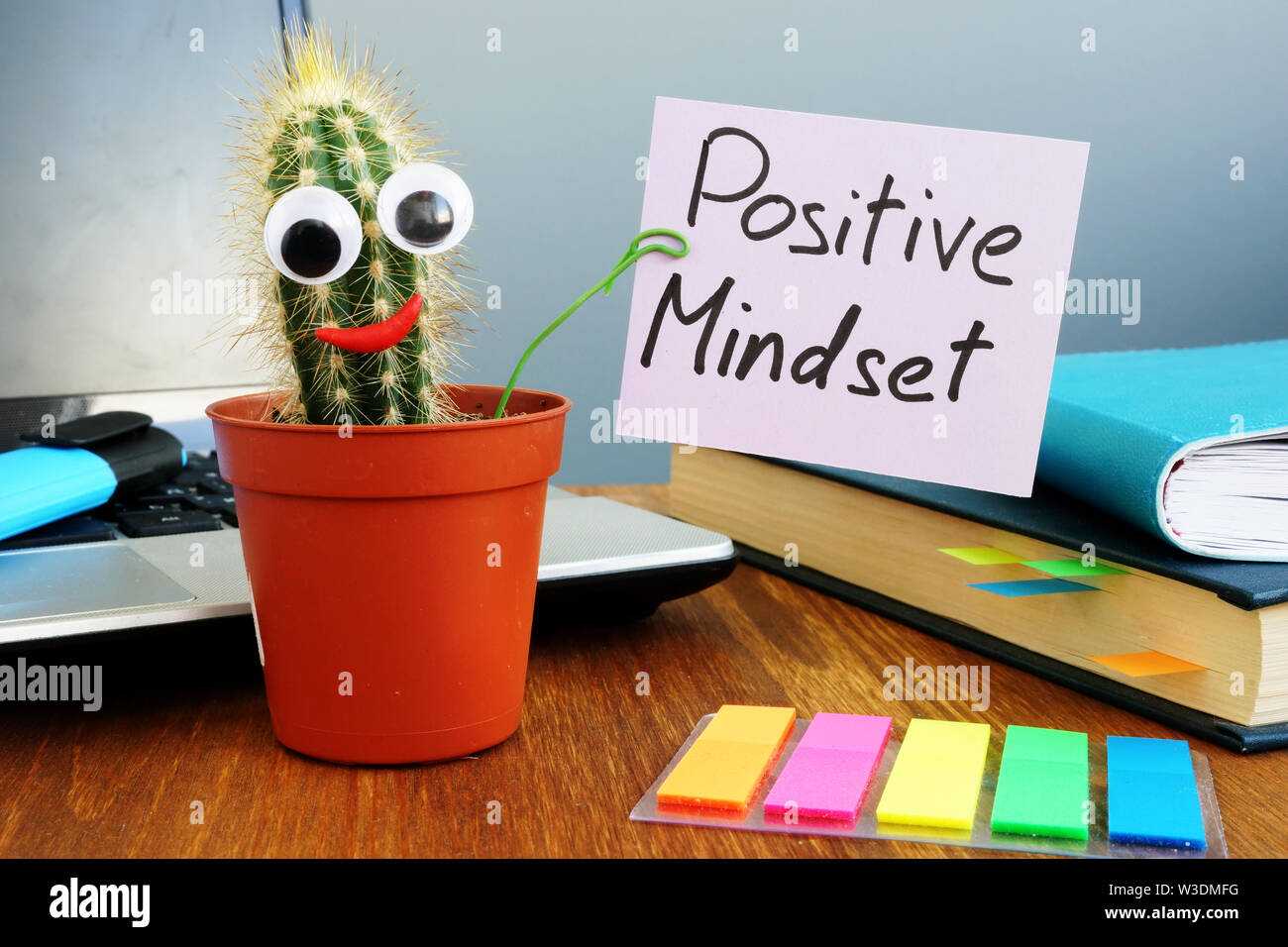 Funny cactus is holding sign Positive mindset. Stock Photo