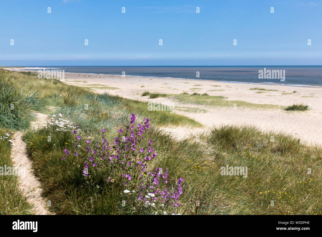 The Norfolk Coast at Caister on Sea Stock Photo Alamy