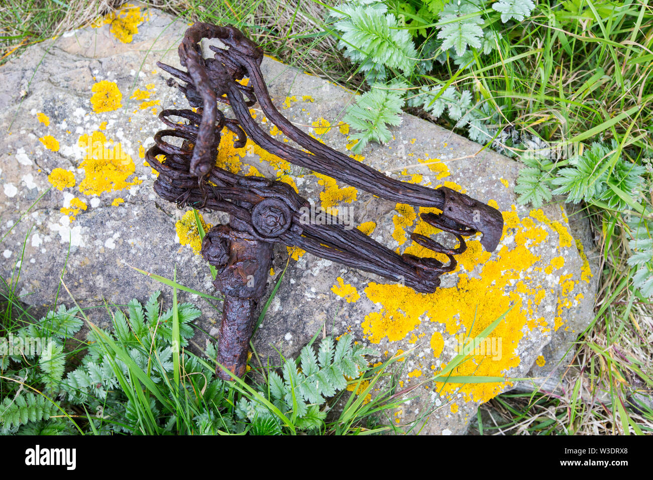 An old rusting bicycle saddle on Rerwick Point, Orkney Islands, Scotland, UK. Stock Photo