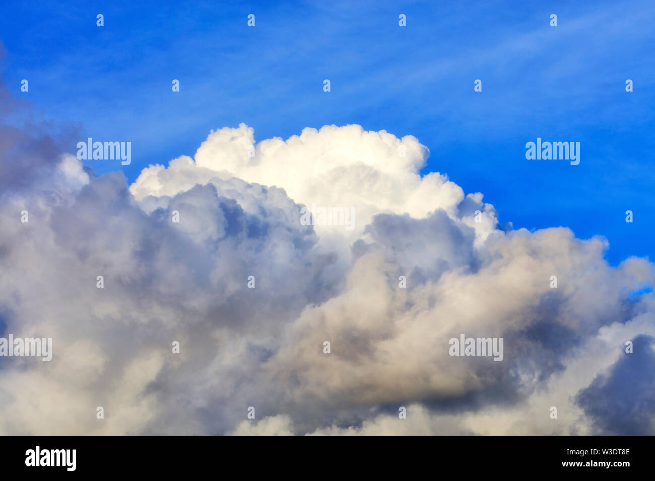 In the blue sky a white-gray fluffy cloud gradually takes up space. Stock Photo