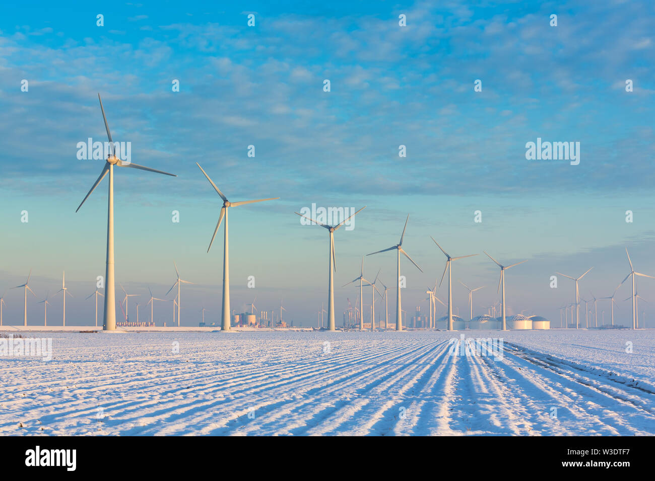 Windmills in a white winter landscape with snow producing green and sustainable energy to reduce global warming - Eemshaven, Groningen, The Netherland Stock Photo