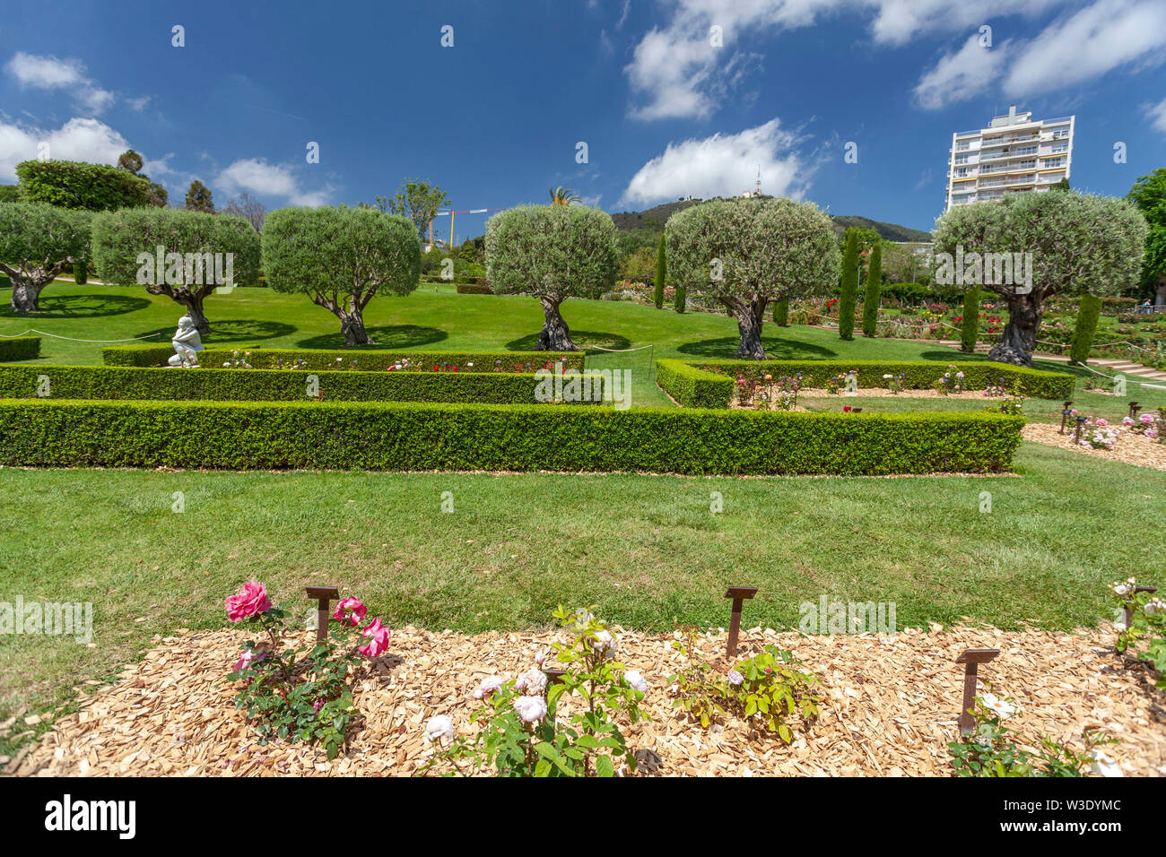 Public park, spring day, Rose Garden, Parc Cervantes in Les Corts quarter of Barcelona, Catalonia, Spain. Stock Photo