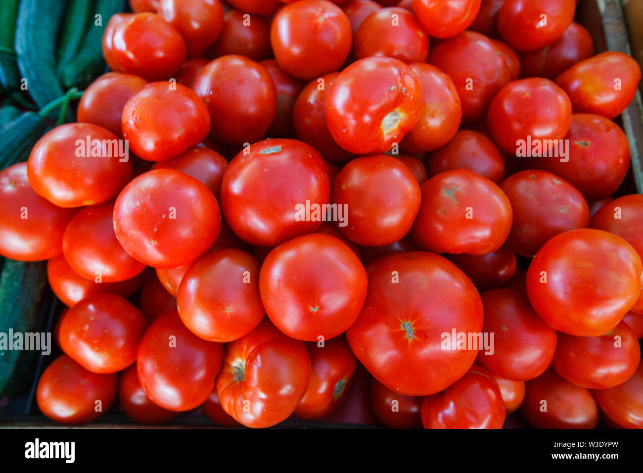 Group of red ripe tomatoes for sale on vegetable market Stock Photo - Alamy