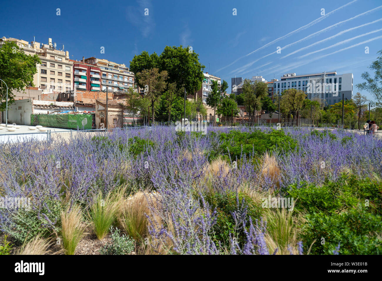 Public garden park, Parc de les Glories, Barcelona, Catalonia, Spain. Stock Photo