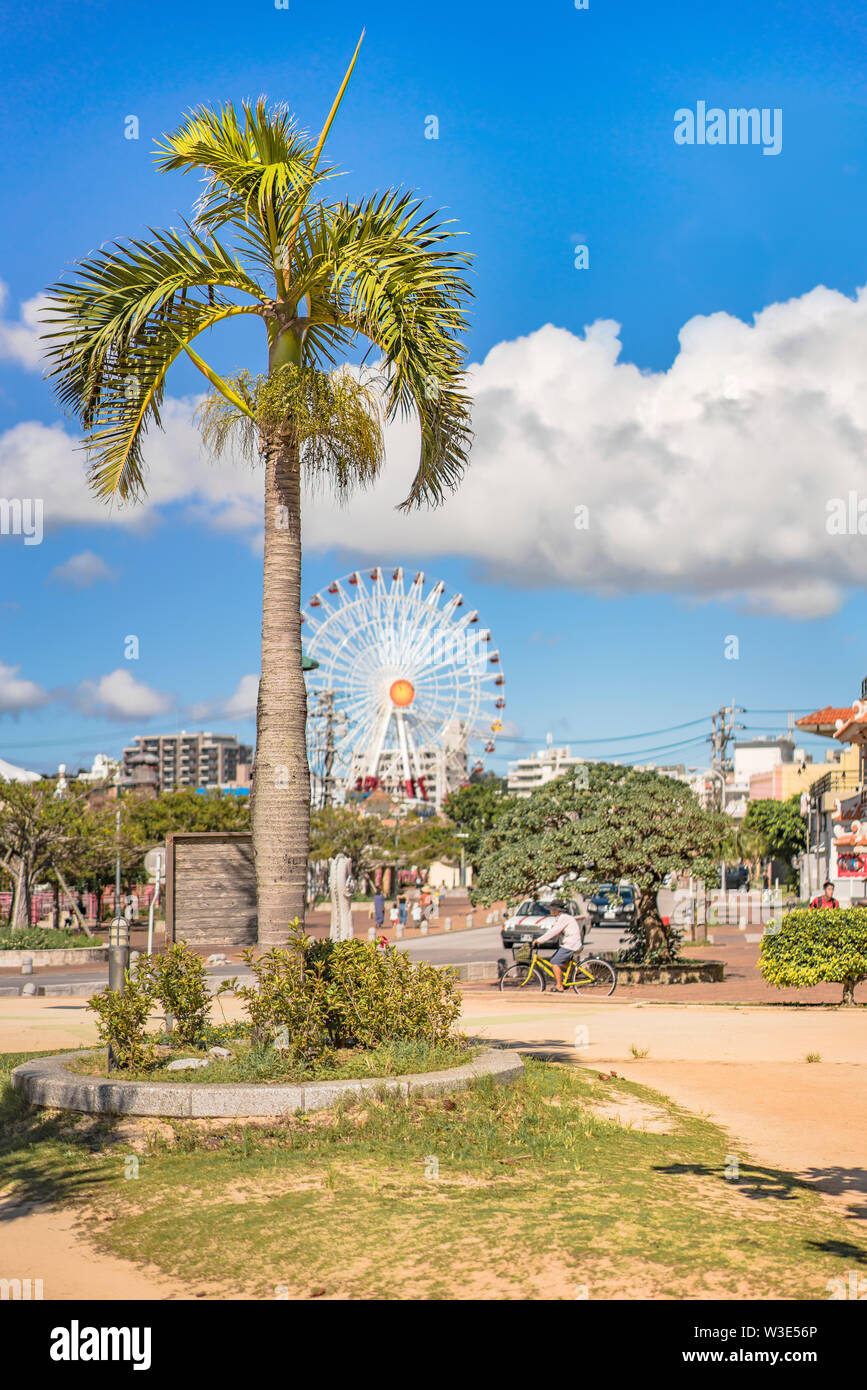 Chatan City’s Sunset beach palm tree and Mihama Carnival Park Ferris wheel in the American Village Stock Photo