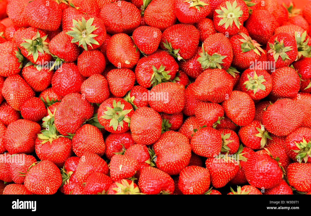 Beautiful background of ripe strawberries Stock Photo