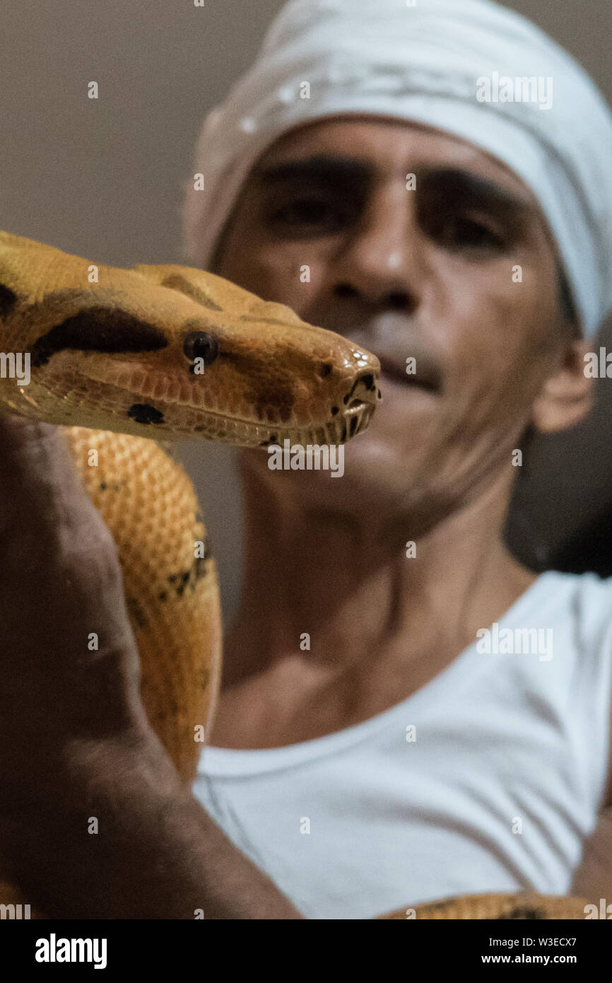 Karmei Yosef, Israel. 15th July, 2019. Israeli snake handler, breeder and catcher RAFAEL YIFRACH, 52, handles a Boa Constrictor in his home in Karmei Yosef. Yifrach has been intrigued by snakes since he was seven years old, he’s been bitten by venomous snakes 18 times and currently grows and breeds some 300 non venomous snakes. World Snake Day is celebrated 16th July contributing to the cause of conservation of a sometimes dangerous but mostly misrepresented reptile. Credit: Nir Alon/Alamy Live News. Stock Photo