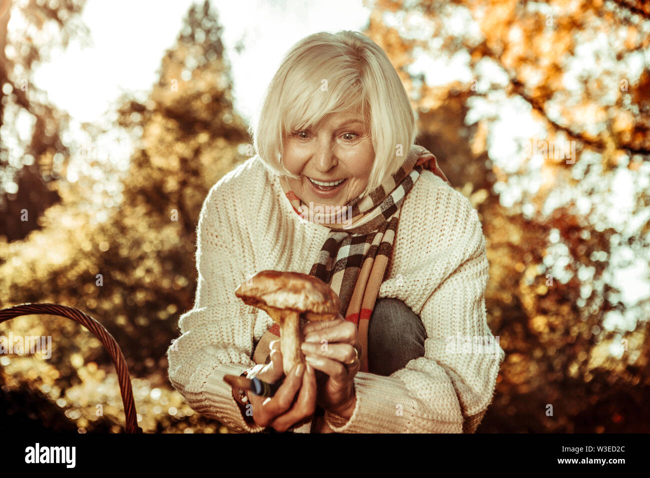 Beautiful elderly woman being surprised finding a mushroom. Stock Photo