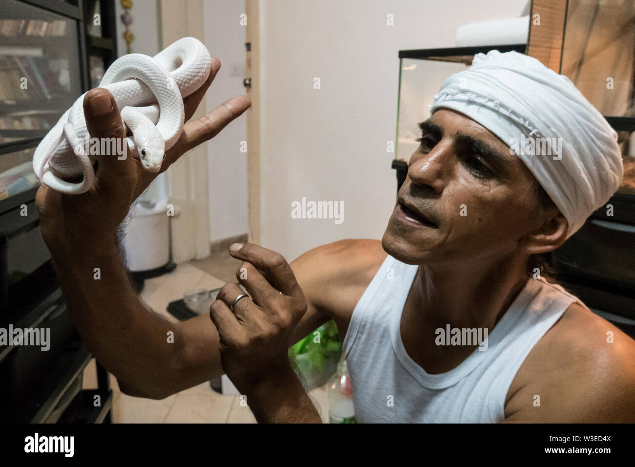 Karmei Yosef, Israel. 15th July, 2019. Israeli snake handler, breeder and catcher RAFAEL YIFRACH, 52, handles an albino Nelson's milksnake in his home in Karmei Yosef. Yifrach has been intrigued by snakes since he was seven years old, he’s been bitten by venomous snakes 18 times and currently grows and breeds some 300 non venomous snakes. World Snake Day is celebrated 16th July contributing to the cause of conservation of a sometimes dangerous but mostly misrepresented reptile. Credit: Nir Alon/Alamy Live News. Stock Photo