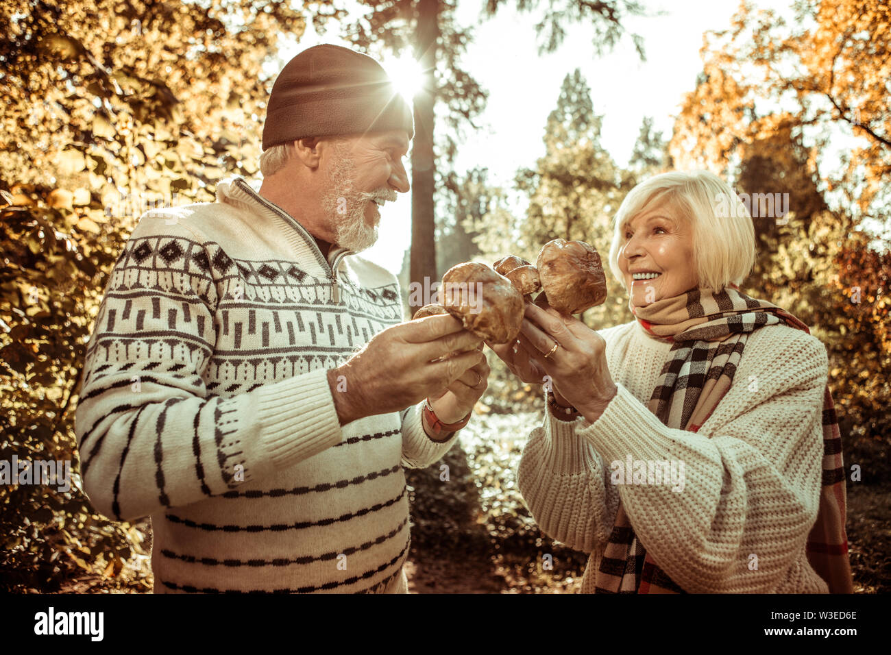 Husband and wife holding mushrooms and looking at each other. Stock Photo