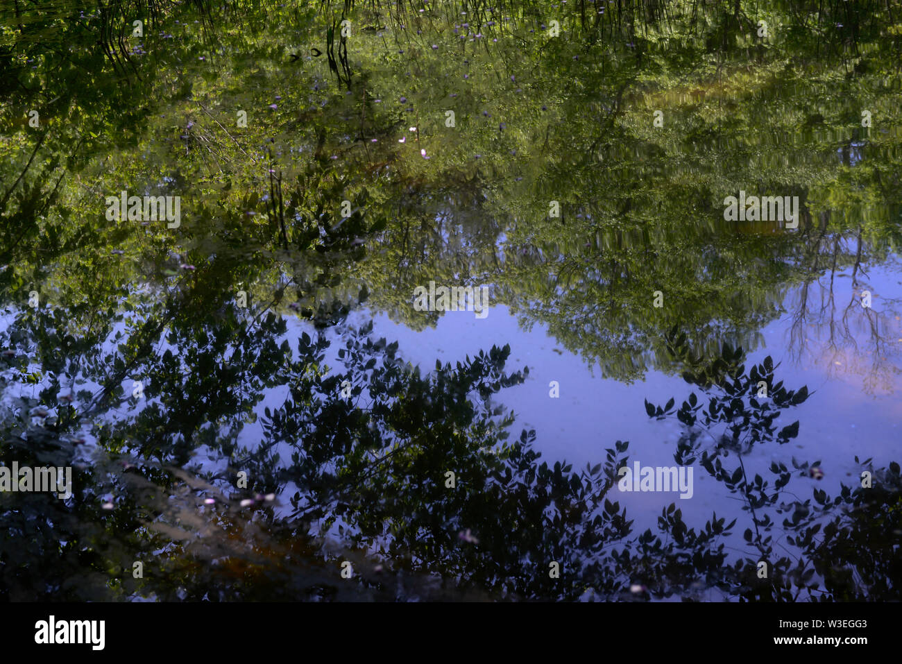 Reflections on Mill River.  New Haven, CT. Stock Photo